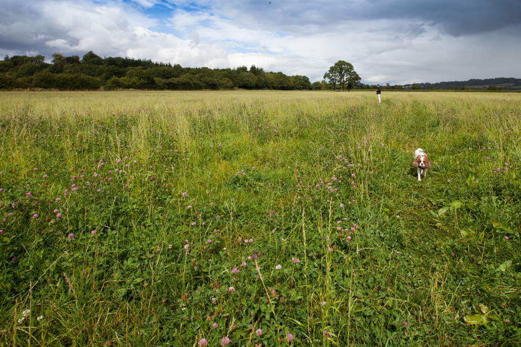 Cotswolds-28